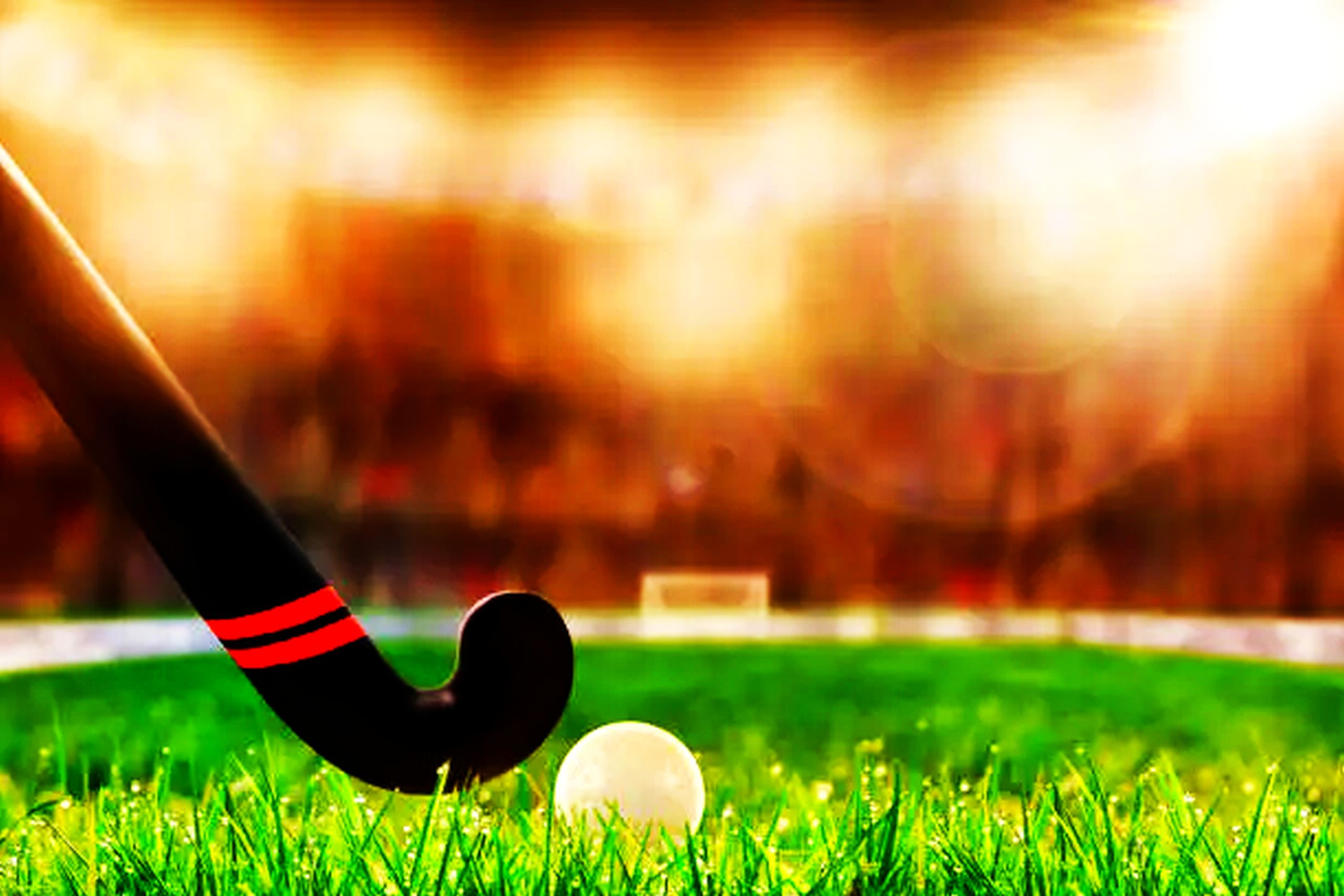 Field Hockey Diary…